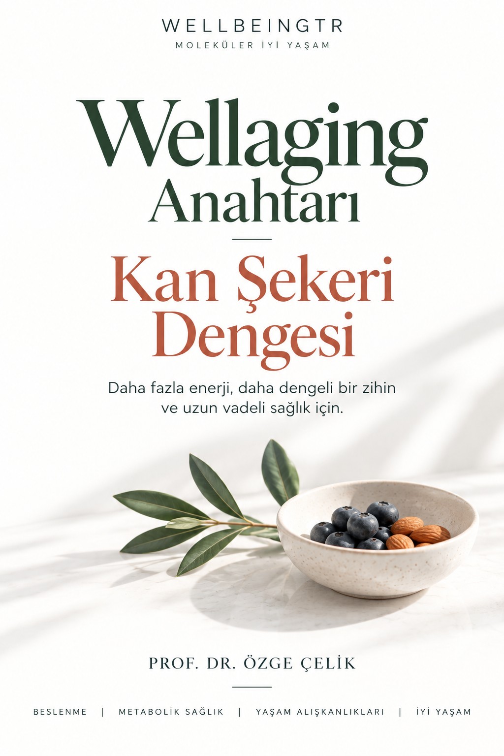 Wellaging Anahtarı E-Kitabı